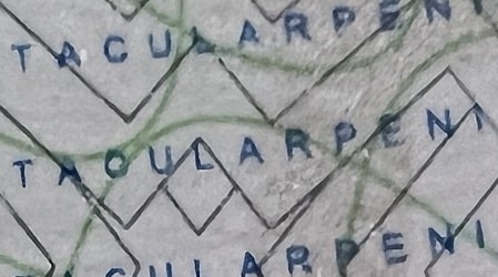 Microprint example from Michigan ID